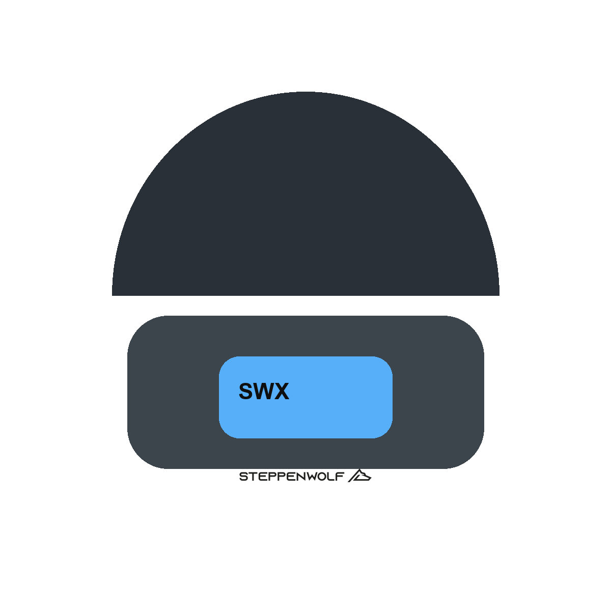 Steppenwolf Workshop Beanie